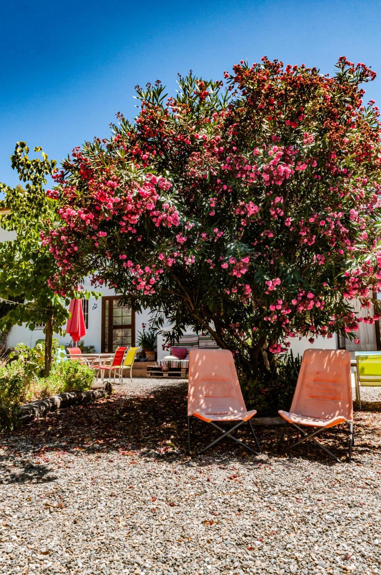 Aparthotel Nido Aguila Blanca à Guaro Extérieur photo