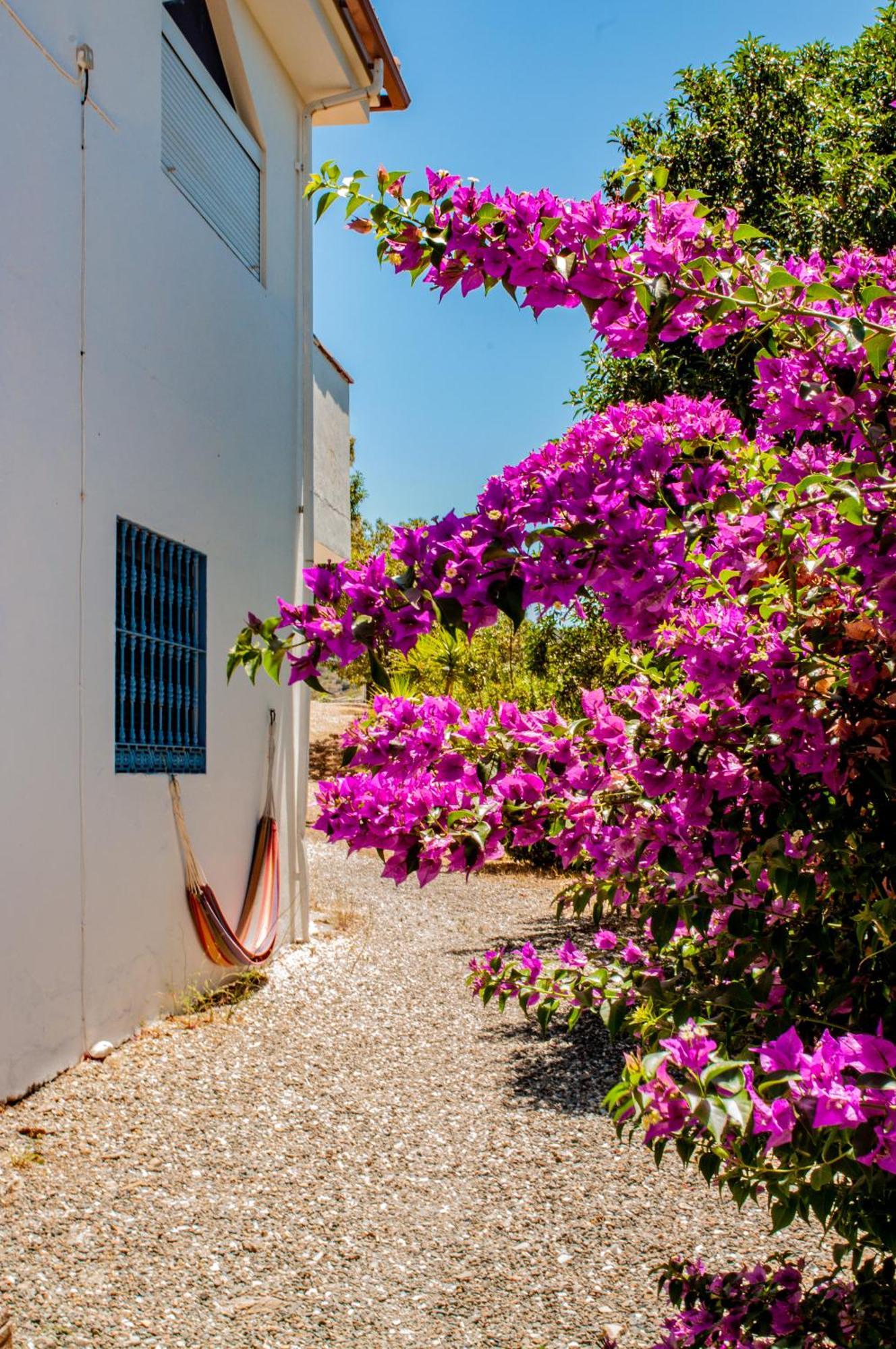 Aparthotel Nido Aguila Blanca à Guaro Extérieur photo